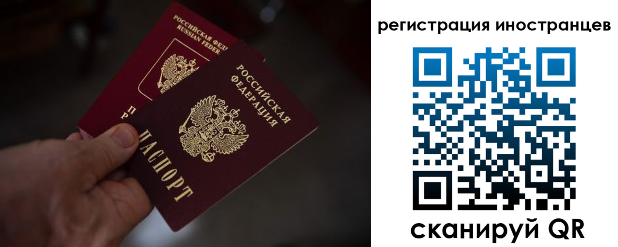 временная регистрация гарантия в Вязьме